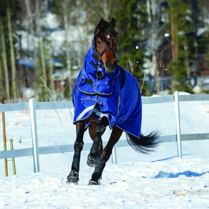 Horse running in snow wearing Blue/Charcoal/White Weatherbeeta Comfitec Ultra Tough II Detach-A-Neck Medium Turnout Blankets