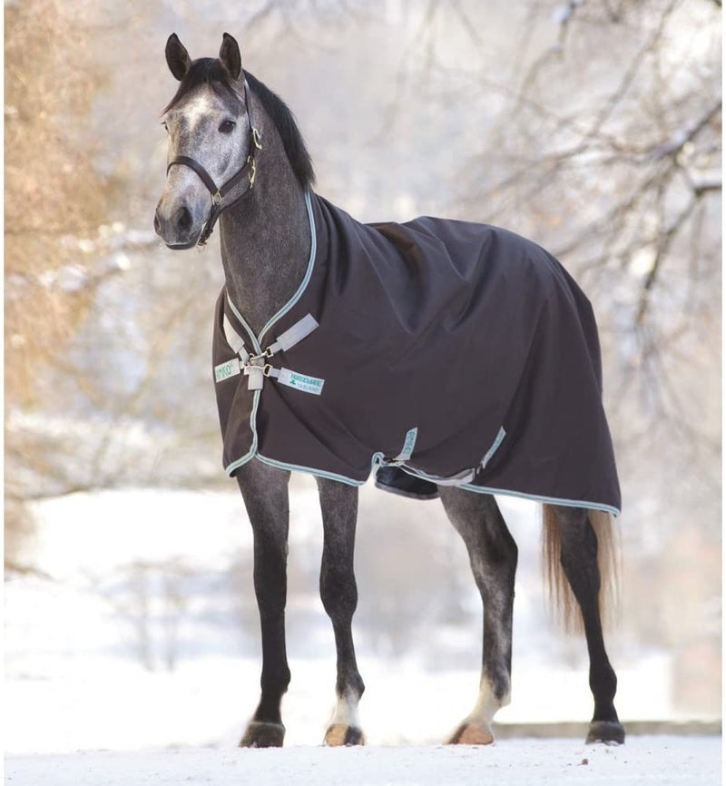 Horse standing in Excal Silver/Green Amigo Bravo 12 Wug Medium Turnout Blankets Horseware Ireland