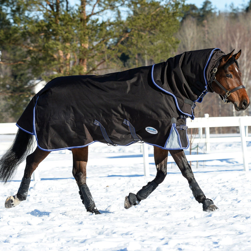 Horse walking sideways in Charcoal/Blue/White Weatherbeeta Comfitec Ultra Cozi II Detach-A-Neck Heavy Turnout Blankets