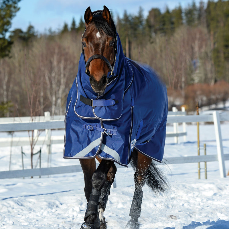 Horse walking in snow wearing Blue/Charcoal/White Weatherbeeta Comfitec Ultra Tough II Detach-A-Neck Medium Turnout Blankets