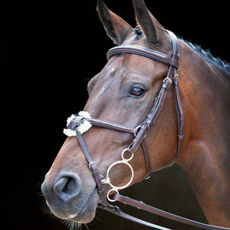 Shires Rossano Venice Bridle English Bridles Shires Equestrian 