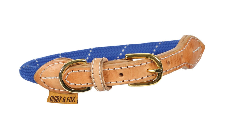 Shires Digby & Fox Reflective Dog Collar Dog Collars & Leashes Shires L Blue 