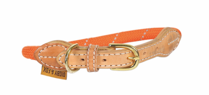 Shires Digby & Fox Reflective Dog Collar Dog Collars & Leashes Shires L Orange 
