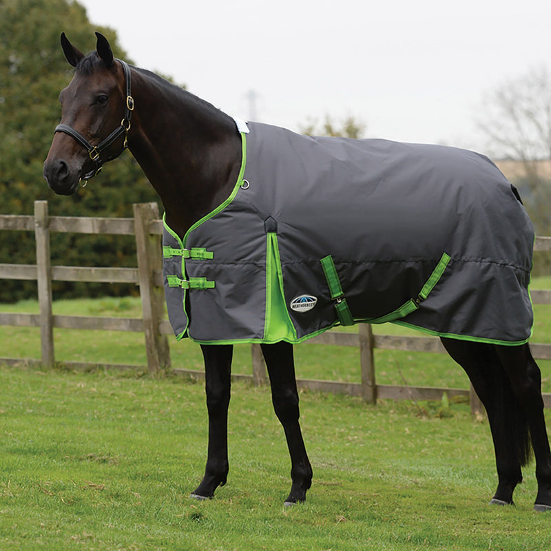 Horse Wearing Grey/Lime Weatherbeeta Comfitec Essential Standard Neck Heavy Turnout Blankets