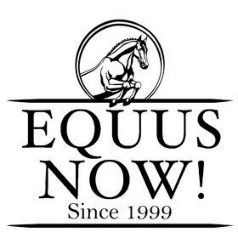EQUUS NOW logo Loveson Turnout Blanket 350g Plus Turnout Blankets Horseware Ireland
