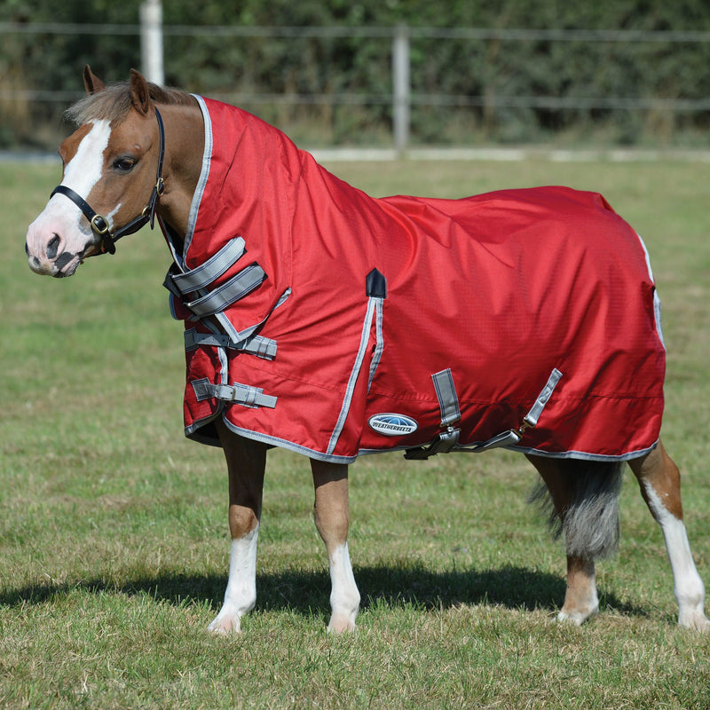 Brown Horse Wearing Red/Silver/Navy Weatherbeeta Comfitec Classic Combo Neck Medium Turnout Blankets
