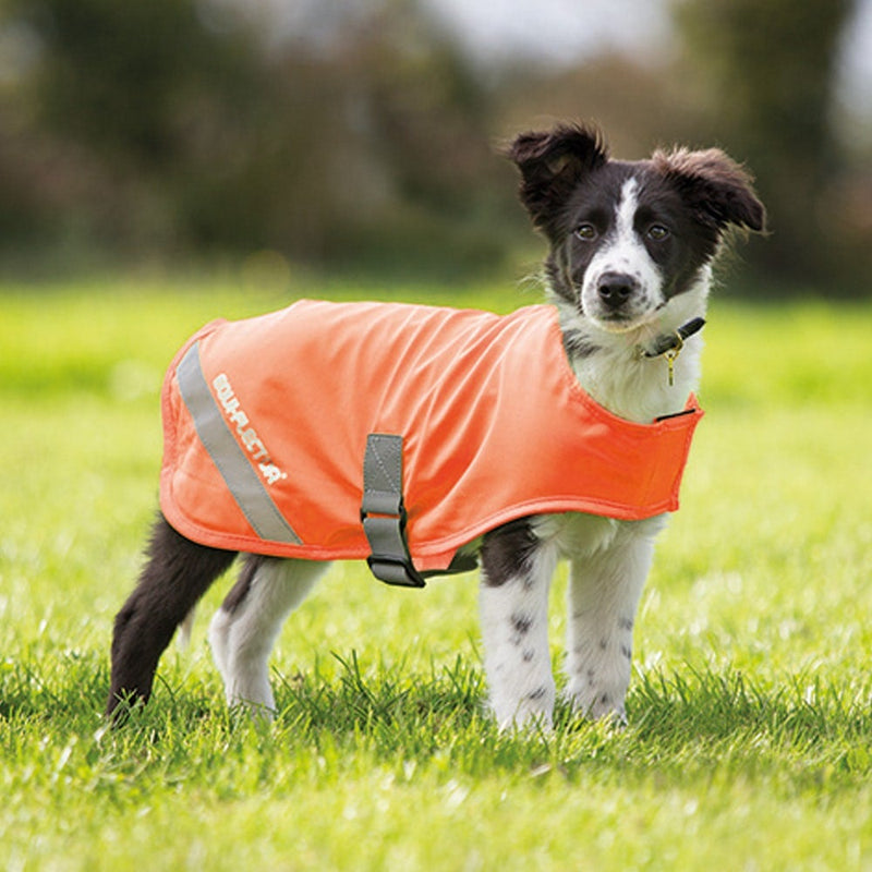 Shires Equiflector Dog Safety Vest Dog Coats Shires 