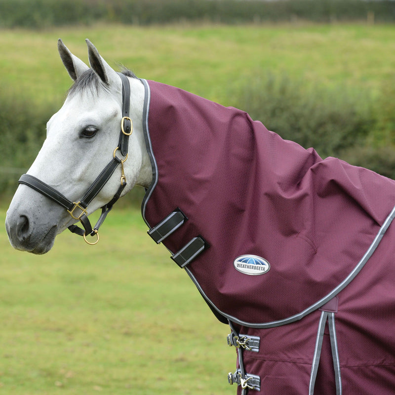 Horse on grass wearing Maroon/Grey/White Weatherbeeta Comfitec Plus Dynamic II Neck Rug Medium Turnout Blankets