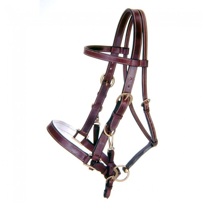 Brown Horse Australian Outrider Collection Leather Bridle/Halter Combination