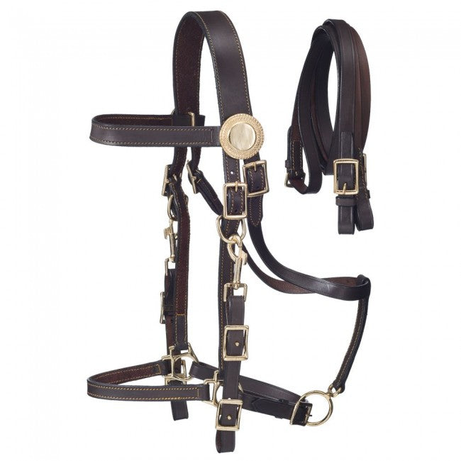 Brown Australian Outrider Collection Supreme Leather Halter Bridle Australian Tack