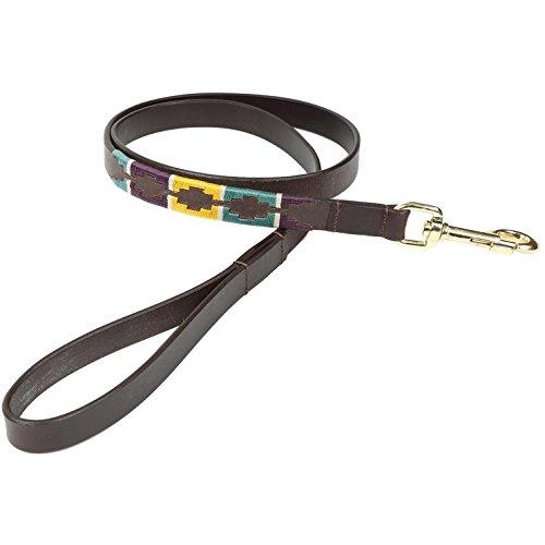 Shires Digby and Fox Dog Lead Dog Collars & Leashes Shires Equestrian Yellow/Green/Purple Large 