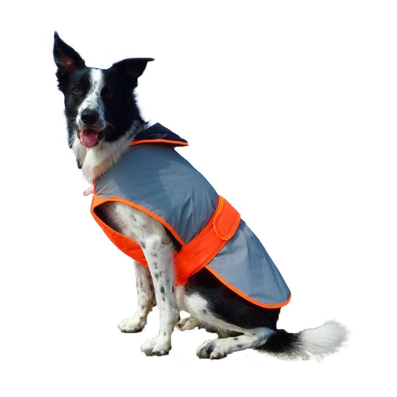 Equisafety Reflective Mercury Dog Coat Dog Coat EquiSafety S Orange 