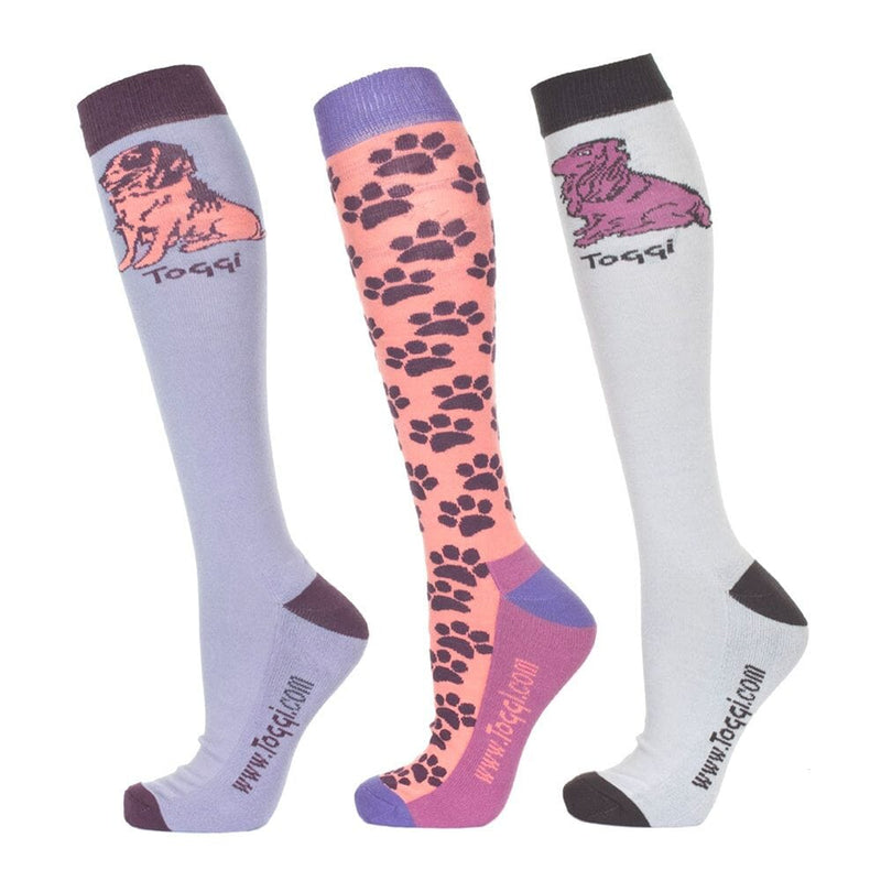 Toggi Marketa Ladies Socks Spaniel Design 3 Pack Socks Toggi 