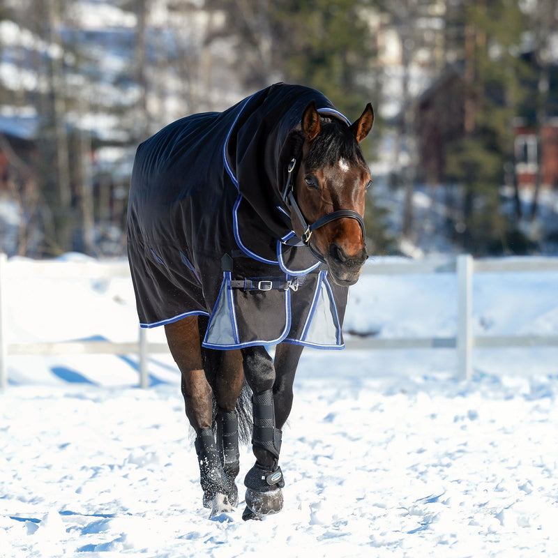 Horse standing in snow wearing Charcoal/Blue/White Weatherbeeta Comfitec Ultra Cozi II Detach-A-Neck Heavy Turnout Blankets