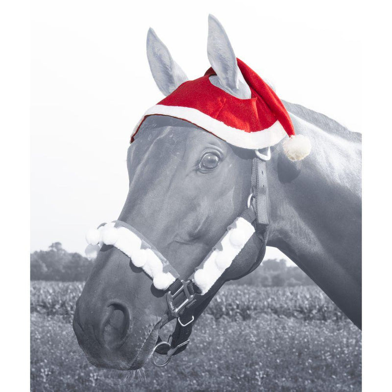 Santa 2 Ear Horse Hat Winter Hats JT International 