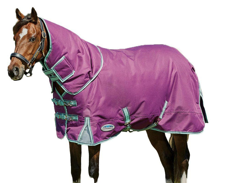 Horse on white background wearing Purple/Navy/Mint Weatherbeeta Comfitec Premier Freedom Pony Detach-A-Neck Medium Turnout Blankets