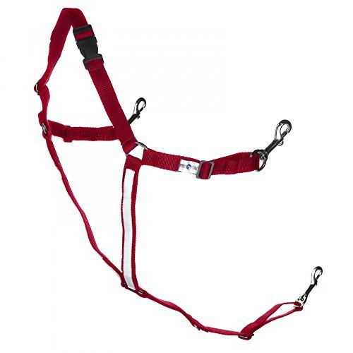 Finntack Y Shaped Breast Collar- Pony Breastplates Horze Red/White Pony 