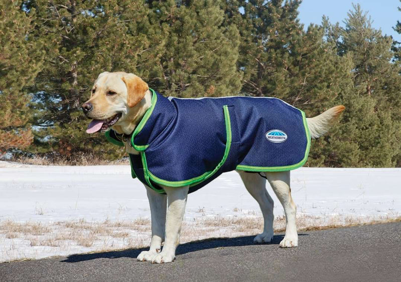 Weatherbeeta Parka 1200D Deluxe Dog Coat Dog Coats Weatherbeeta 12" Navy/Lime 