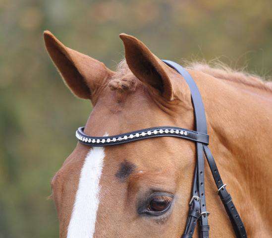 Shires Aviemore Large Diamante Browband English Bridle Accessories Shires Equestrian 
