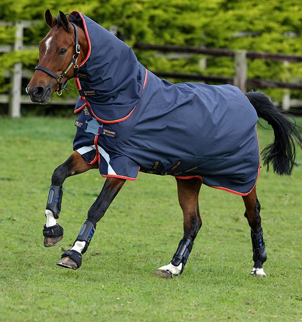 Navy/Gold/Red Horseware Ireland Amigo Bravo 12 Plus Turnout Sheet Lite 100g with Front Disc Closure Turnout Sheets