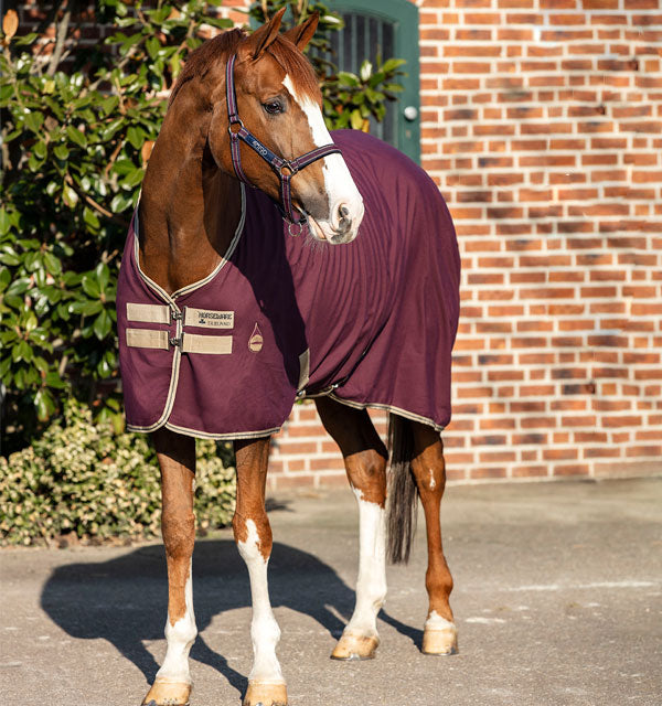 Amigo Stable Sheet Pony (no fill) Stable Sheets Horseware Ireland Fig/Navy&Tan 57" 