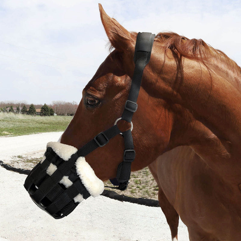 Horse wearing Black BasEQ Classic Fleece Lined Muzzle Grazing Muzzles One Stop Equine Shop Pony