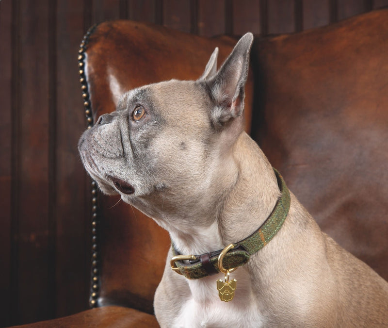 Shires Digby & Fox Tweed Dog Collar Dog Collars & Leashes Shires Equestrian 