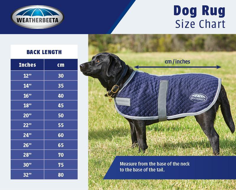 Weatherbeeta 1200D Exercise Dog Coat Dog Coats Weatherbeeta 