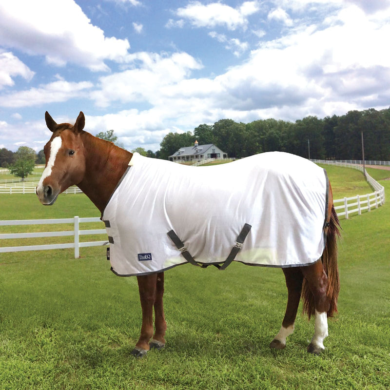 Horse in field wearing White/Dark Grey BasEQ Fly Sheet One Stop Equine Shop