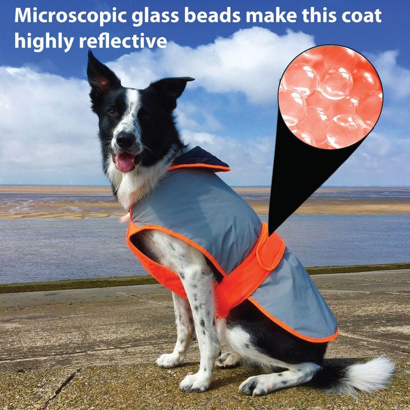 Equisafety Reflective Mercury Dog Coat Dog Coat EquiSafety 