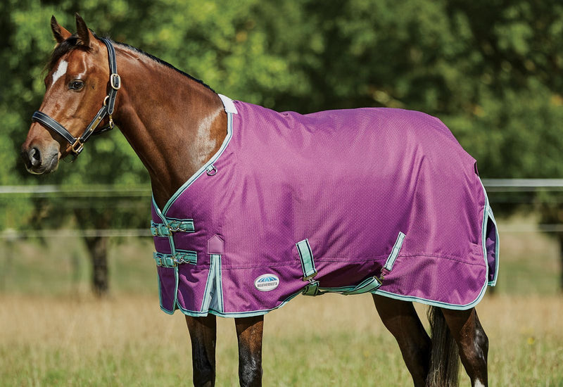 Horse wearing Purple/Navy/Mint Weatherbeeta Comfitec Premier Freedom Pony Standard Neck Lite Turnout Blankets