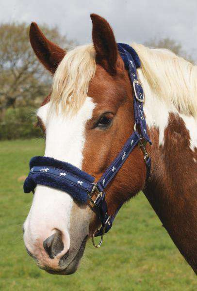 Saxon Fleece Lined Ribbon Headcollar Nylon Halters Saxon Pony Navy/Blue 
