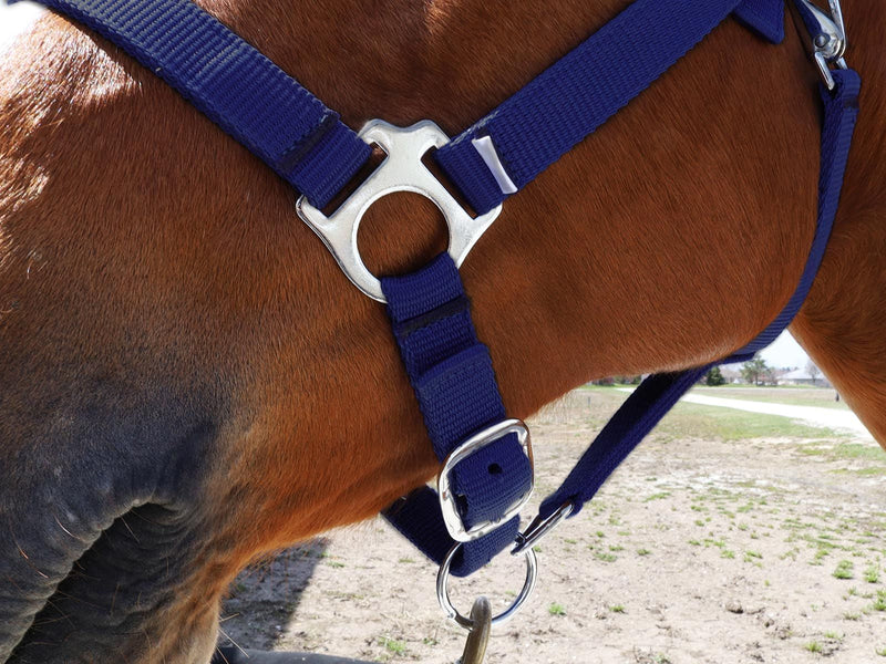 Nylon material used in Navy BasEQ Turnout Halter Leather Halters One Stop Equine Shop Pony