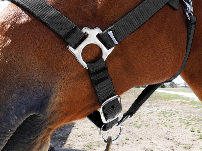 Strong nylon material in Black BasEQ Turnout Halter Leather Halters One Stop Equine Shop Pony