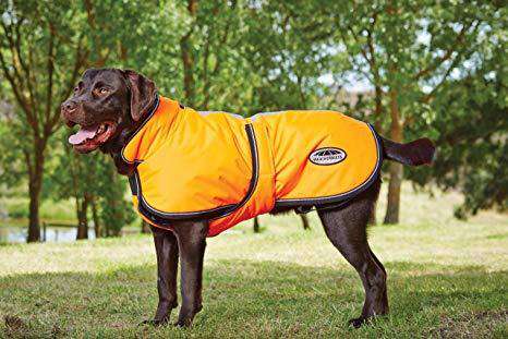 Weatherbeeta Reflective Parka 300D Deluxe Lite Dog Coat Dog Coats Weatherbeeta 12" Orange 