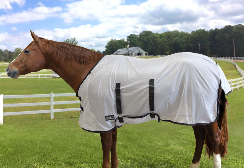Horse in field wearing White/Black BasEQ Fly Sheet with Belly Closure One Stop Equine Shop 63"