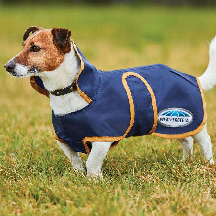 Weatherbeeta Windbreaker 420D Deluxe Lite Dog Coat Dog Coats Weatherbeeta 12" Navy/Gold 