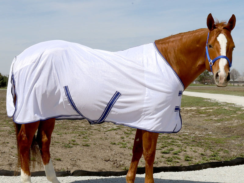 Side View of White/BasEQ Blue BasEQ Standard Neck Fly Sheet Fly Sheets One Stop Equine Shop