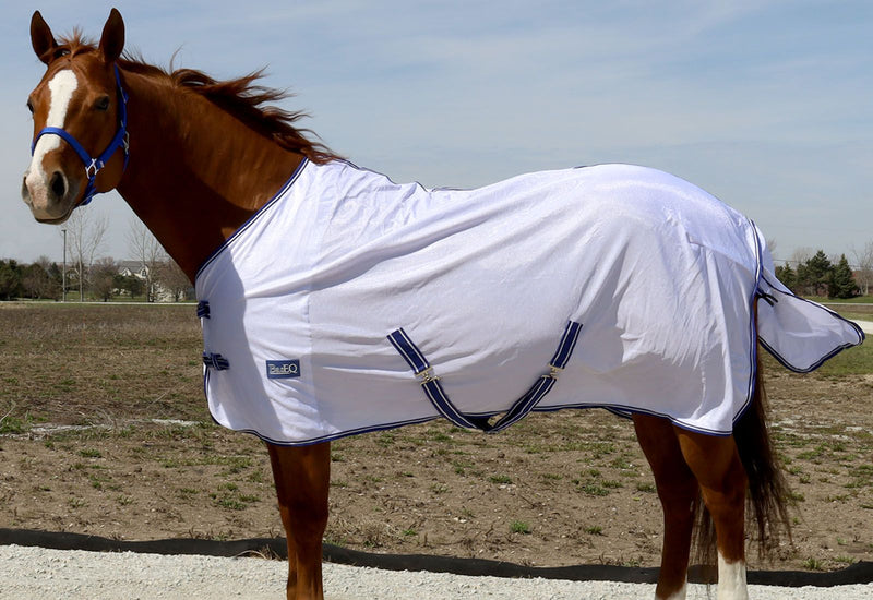 Horse wearing White/BasEQ Blue BasEQ Standard Neck Fly Sheet Fly Sheets One Stop Equine Shop
