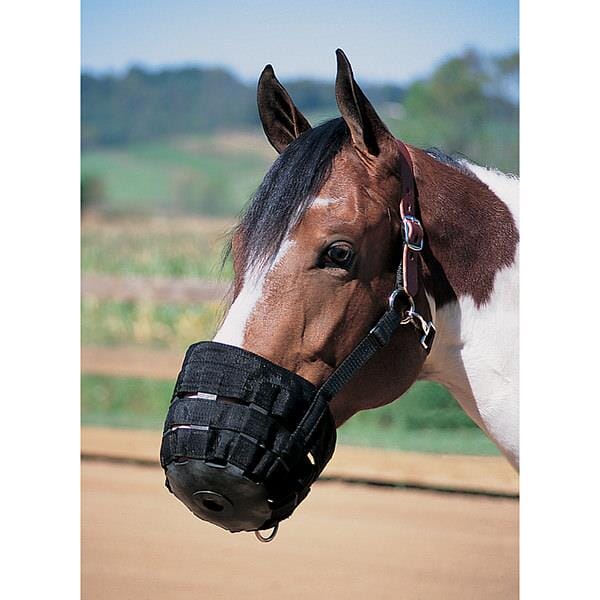 Weaver Leather Grazing Muzzle with Crown Grazing Muzzles Weaver Leather 