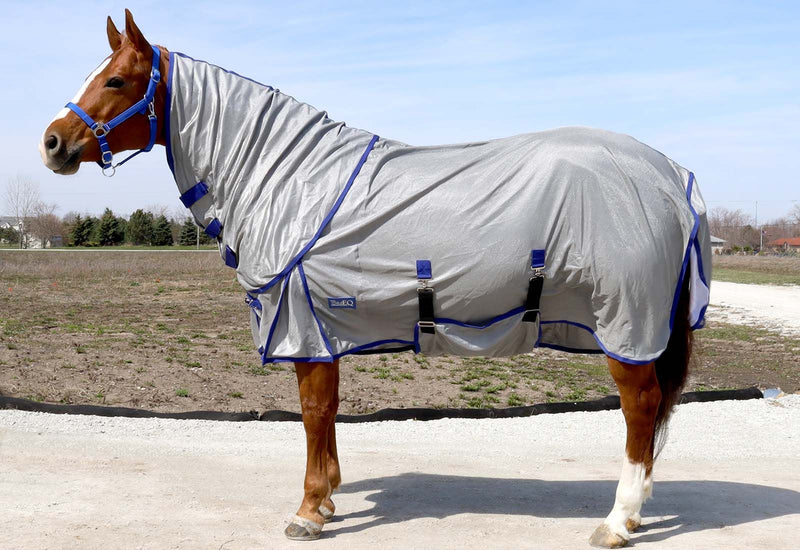 Horse wearing Dark Grey/BasEQ Blue BasEQ Plus Detachable Neck Fly Sheet One Stop Equine Shop 63"