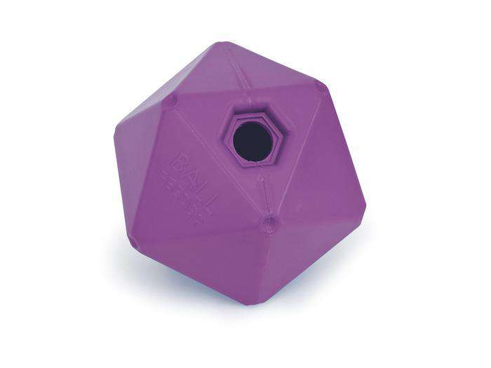 Shires Ball Feeder Toys Shires Purple 