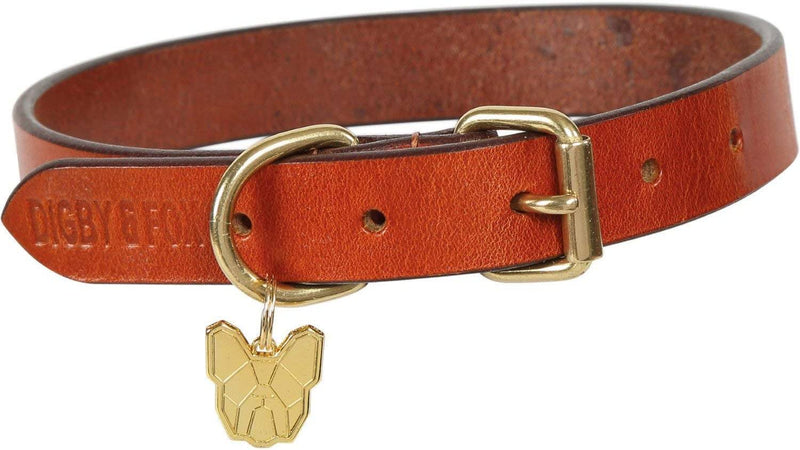 Shires Digby & Fox Flat Leather Dog Collar Dog Collars & Leashes Shires L Tan 