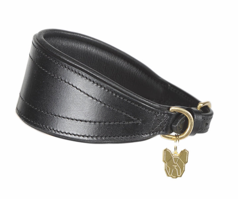 Shires Digby & Fox Padded Greyhound Collar Dog Collars & Leashes Shires Equestrian Black Small 