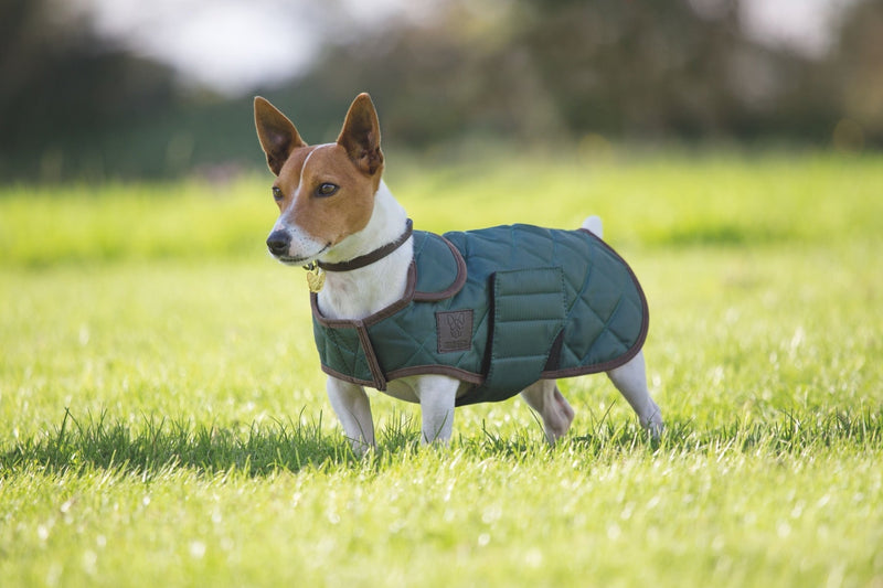 Shires Digby & Fox Quilted Dog Coat Dog Coats Shires L Dark Green 