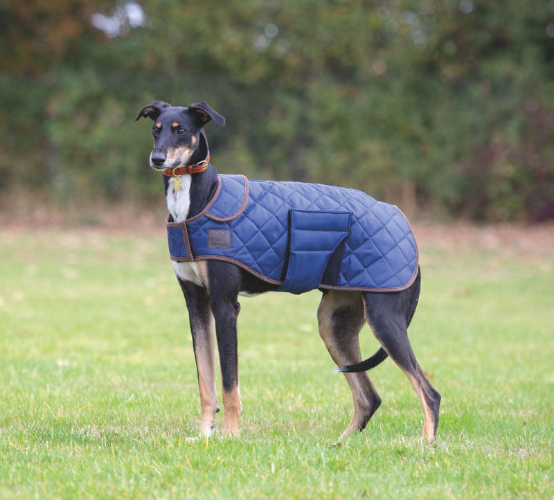 Shires Digby & Fox Quilted Dog Coat Dog Coats Shires L Navy 