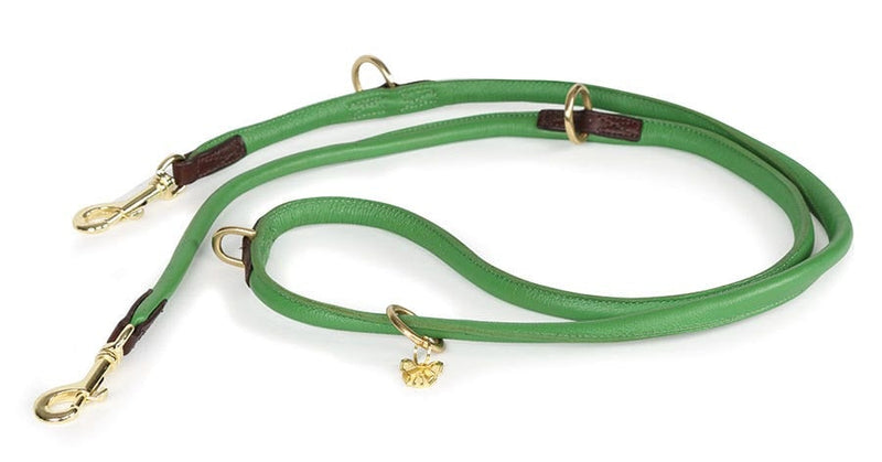 Shires Digby & Fox Rolled Leather Dog Training Lead Dog Collars & Leashes Shires Equestrian Green 