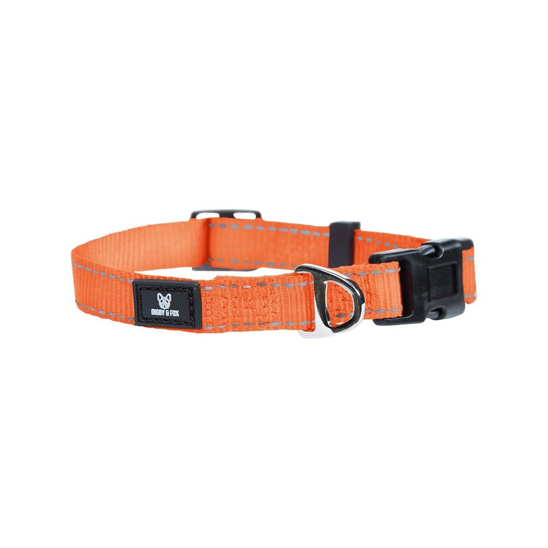 Shires Digby & Fox Webbing Dog Collar Dog Collars & Leashes Shires Equestrian Orange Large 