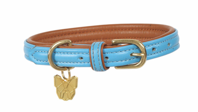 Shires Digby and Fox Padded Leather Dog Collar Dog Collars & Leashes Shires Equestrian Blue Medium/Large 