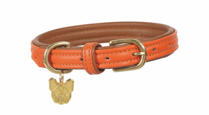Shires Digby and Fox Padded Leather Dog Collar Dog Collars & Leashes Shires Equestrian Orange Large 